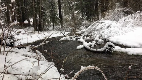 Mountain Stream in the Winter with Snow - 2 in Series of 5 Stock Footage 118780237