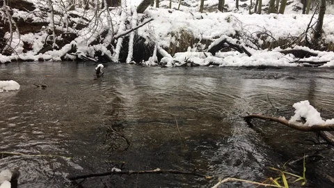 Mountain Stream in the Winter with Snow - 4 in Series of 5 Stock Footage 118780229