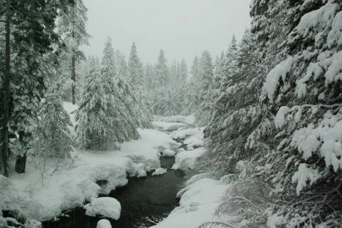 Mountain stream in a winter storm Stock Photos