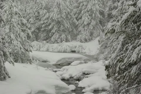 Mountain stream in a winter storm Stock Photos