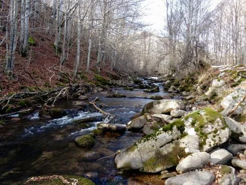 Mountain stream in the winter time Stock Photos