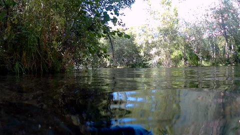 Mountain stream.Beautiful nature Video stock 251655750