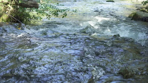 Mountain stream.Beautiful nature landscape natural, fresh river flows between Vidéo 271646653