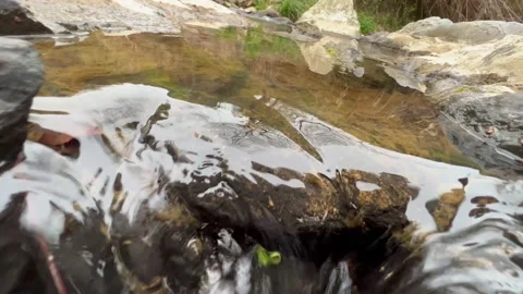 Mountain streams and rivers Stock Footage 232317528