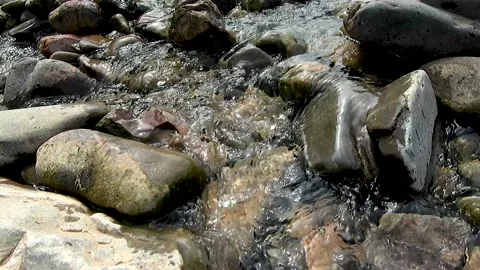 Mountain streams, clear springs. Stock Footage 221164755