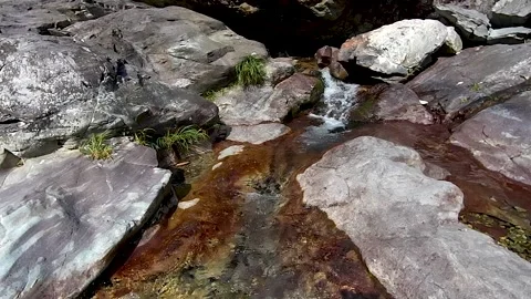 Mountain streams, clear springs. Stock Footage 221164770