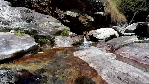 Mountain streams, clear springs. Stock Footage 221164783