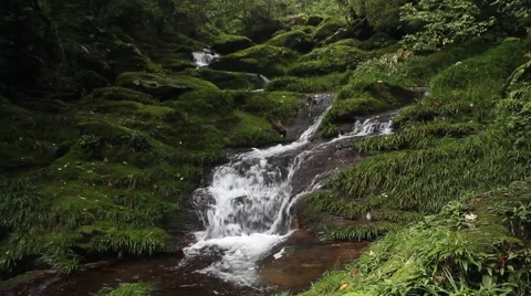 Mountain streams Stock Footage 41652586