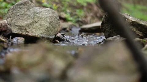 Mountain streams Stock Footage 49096387