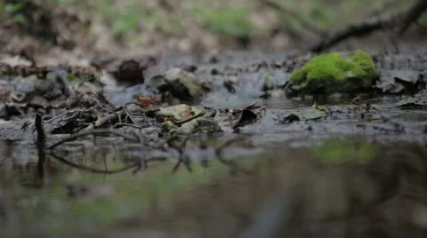 Mountain streams Stock Footage 49096432