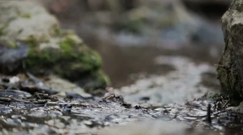 Mountain streams Stock Footage 49096460