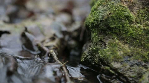 Mountain streams Stock Footage 49096688