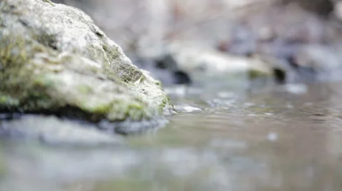 Mountain streams Stock Footage 49096854