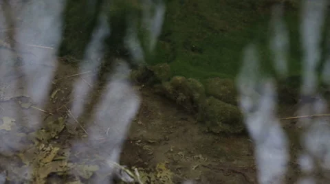 Mountain streams Stock Footage 49097127