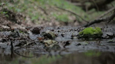 Mountain streams Stock Footage 49097166