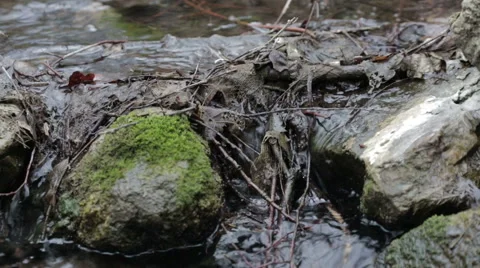 Mountain streams Stock Footage 49097212