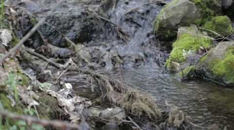 Mountain streams Stock Footage 49097620