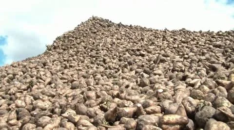 Mountain of Sugar Video stock 12599655