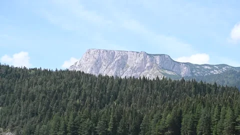 Mountain in summer. Forest with rocks in the background. Stock Footage 262112819