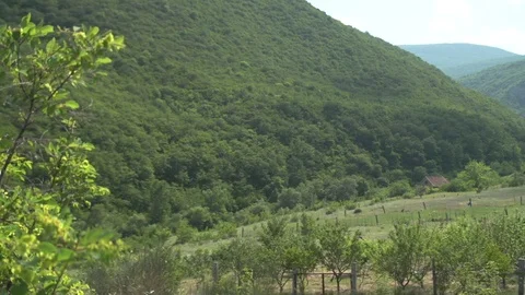 Mountain Summer Landscape Stock Footage 88746688