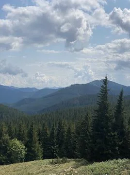 Mountain summer landscape Hoverla Stock Photos