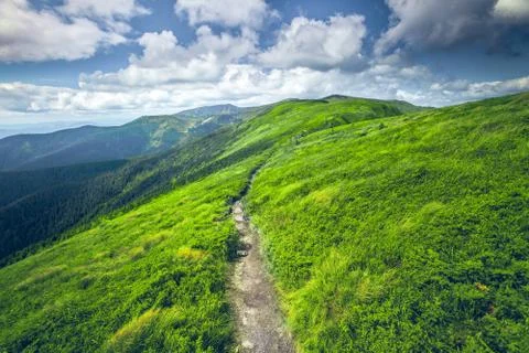 Mountain summer landscape 写真素材