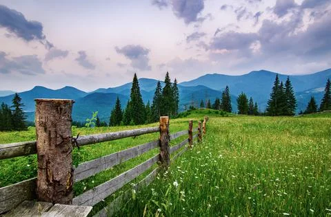 Mountain summer landscape Photos