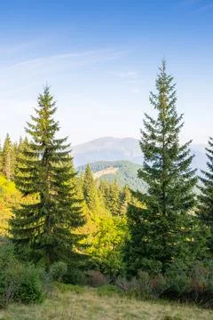 Mountain summer landscape Stock Photos