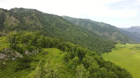 Mountain summer landscape. Trees on top of a mountain range Stock Footage 165719035