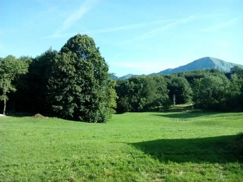 Mountain in summer Foto stock