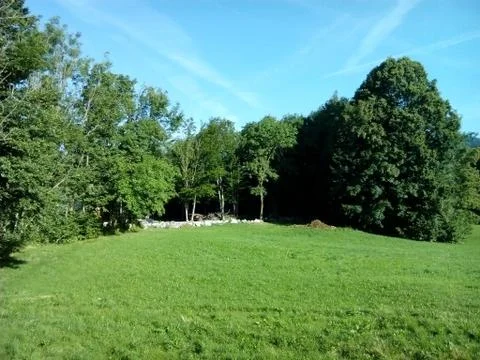 Mountain in summer Stock Photos