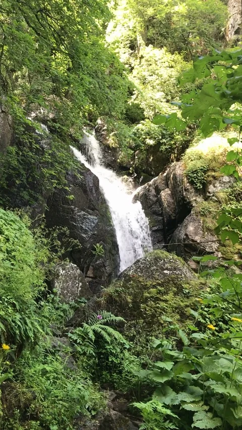 Mountain summer waterfall 02 動画素材 122442706