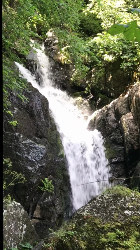 Mountain summer waterfall 03 動画素材 122443271