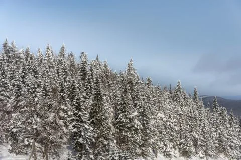Mountain summit in eastern Canada Stock Photos