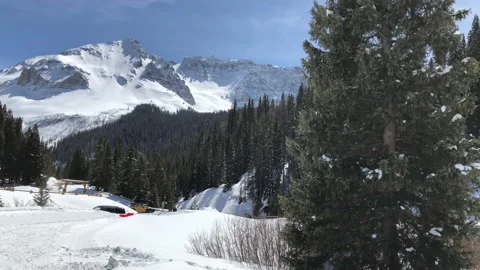 Mountain Sun Snow Big Front Pine Tree Video stock 156940147