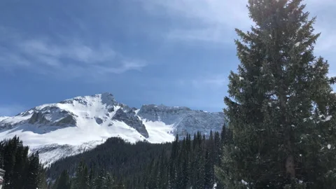 Mountain Sun Snow Big Pine Tree Stock Footage 156940156