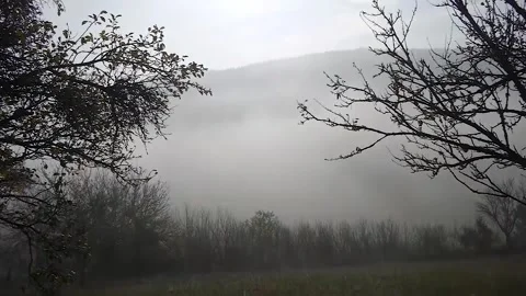 Mountain sun through the morning mist Stock Footage 245318448