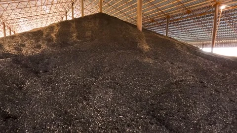 Mountain of sunflower seeds in the hangar Stock Footage 320997409