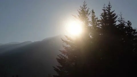 Mountain Sunrise Moving Windy Trees Whistler BC Stock Footage 233282194