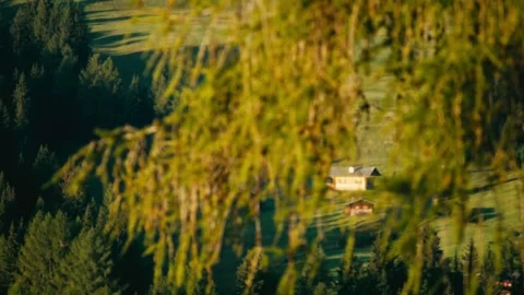Mountain Sunrise Reveals Rustic Cabins Through Golden Larch Branches 库存影片 331163432