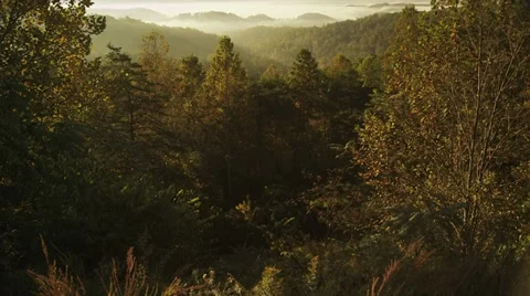 Mountain sunrise - tilt up Stock-Footage 32066201