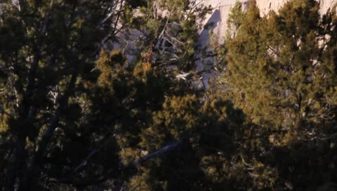 Mountain in the sunset 1332 Stock Footage 1028139