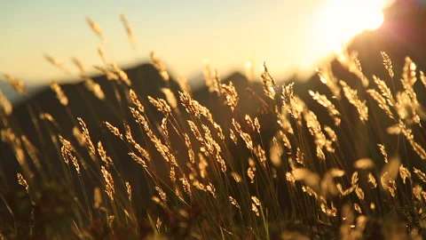 Mountain sunset Stock Footage 132425913