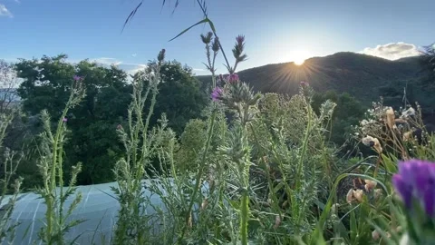 Mountain sunset in Les Cévennes Video stock 346501059