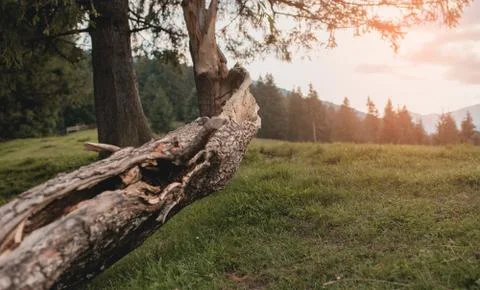 Mountain at sunset meadow background Stock Photos