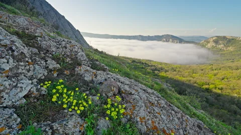 Mountain sunset over clouds. Misty nature landscape scene.  Vidéo 308235466