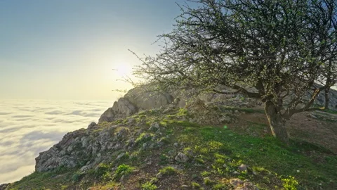 Mountain sunset over clouds. Misty nature landscape scene.  스톡 동영상 308235472