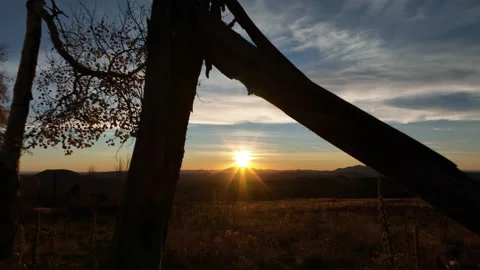 Mountain Sunset Through Fallen Tree. Flagstaff, AZ Stock Footage 220241727