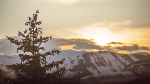 Mountain sunset timelapse with pine tree in the foreground Stock Footage 107613074