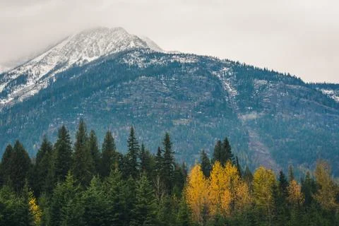 Mountain surrounded by autumn forest. Foto stock
